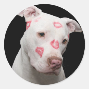 Sticker Rond Pitbull Lover