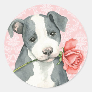 Sticker Rond Pitbull rose de Valentine