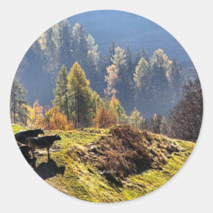 Sticker Rond Pittoresque Graubunden Suisse