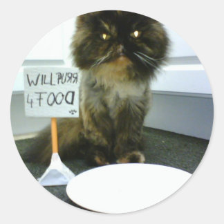 Sticker Rond Pity Kitty Purge Pour La Nourriture