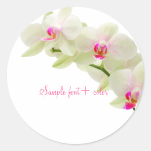 Sticker Rond PixDezine maui orchidée rose