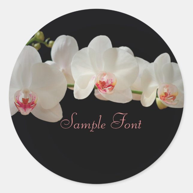 Sticker Rond PixDezine orchidée blanche/couleur de fond DIY (Devant)