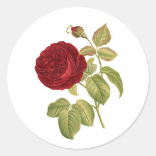 Sticker Rond PixDezine roses rouges victoriennes vintage/redout