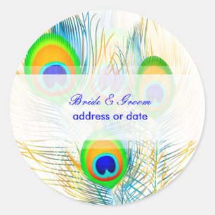 Sticker Rond PixDezines Pzazz Plume de paon/diy couleur