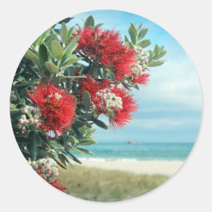 Sticker Rond Plage paradisiaque de fleurs rouges Nouvelle-Zélan