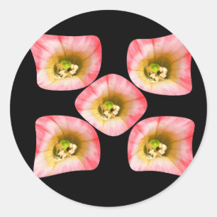 Sticker Rond Plaisir Floral