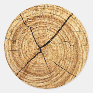 Sticker Rond Plan rapproché d'anneaux d'arbre