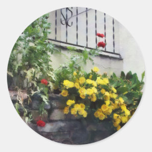 Sticker Rond Planeur Avec Cactus À Fleur Jaune