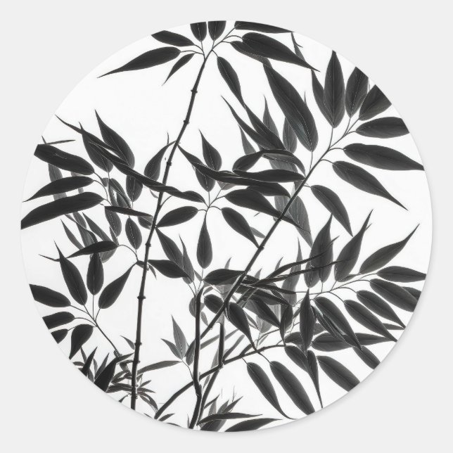 Sticker Rond Plante en bambou noir et blanc (Devant)