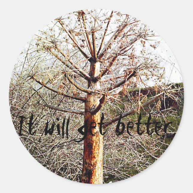 Sticker Rond Plante Ferula sec (Devant)