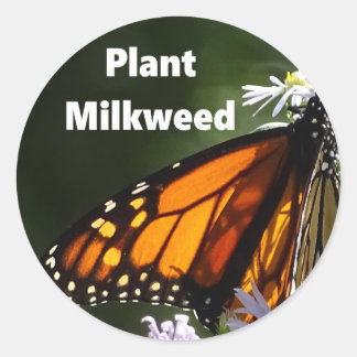 Sticker Rond Plante Milkweed