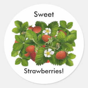 Sticker Rond Plante vintage aux fraises