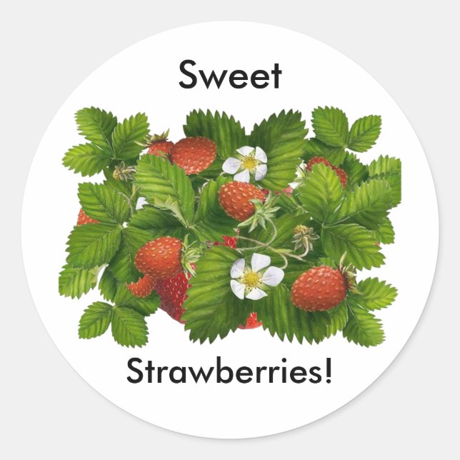 Sticker Rond Plante vintage aux fraises (Devant)