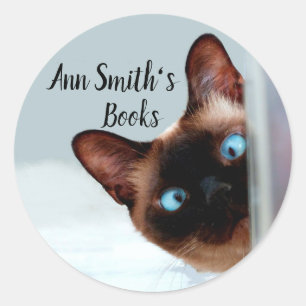 Sticker Rond Plaque pour Customiser Funny Peeking Cat