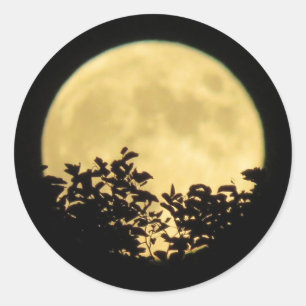Sticker Rond Pleine lune avec branches d'arbres devant