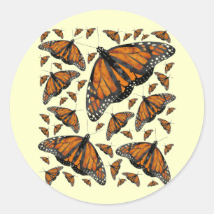 Sticker Rond Pluie Monarque