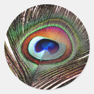 Sticker Rond Plume colorée de paon en cuivre