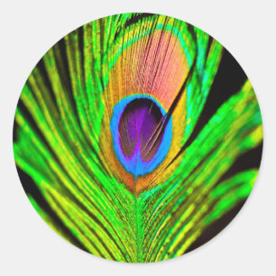 Sticker Rond Plume de paon aux couleurs néon