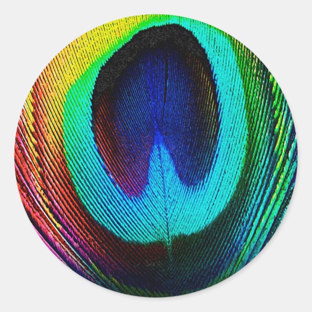 Sticker Rond Plume de paon vibrant (Devant)