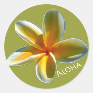 Sticker Rond Plumeria avec Aloha