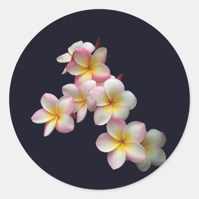 Sticker Rond Plumeria fleurit sur bleu foncé (Devant)