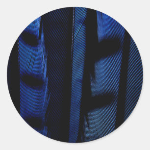 Sticker Rond Plumes de jay bleu