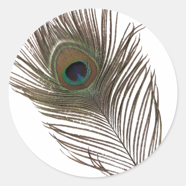 Sticker Rond Plumes de paon (Devant)