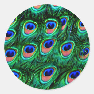 Sticker Rond Plumes de paon_
