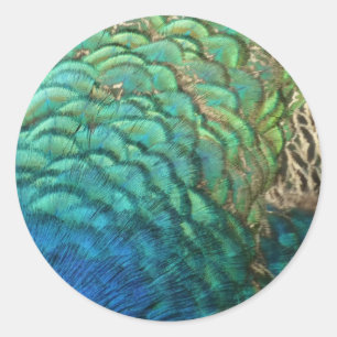 Sticker Rond Plumes de paon I Design de nature abstrait coloré