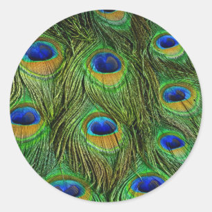Sticker Rond Plumes de paon magnifiques