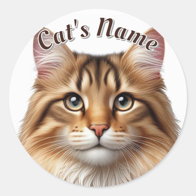 Sticker Rond Plutôt Brown Tabby Chat Longhair ・ Personnalisé (Devant)