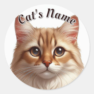 Sticker Rond Plutôt Brown Tabby Chat Longhair ・ Personnalisé