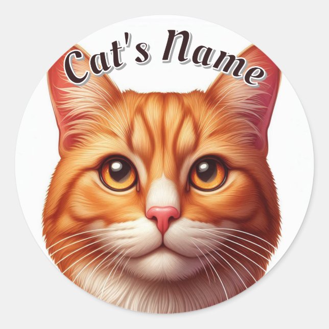 Sticker Rond Plutôt Orange Tabby Cat ・ Personnaliser (Devant)