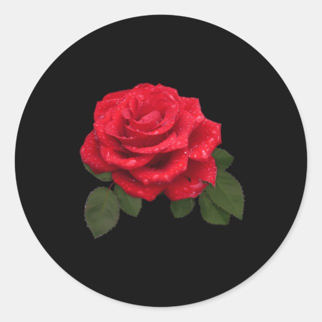 Sticker Rond Poche rose rouge (Devant)