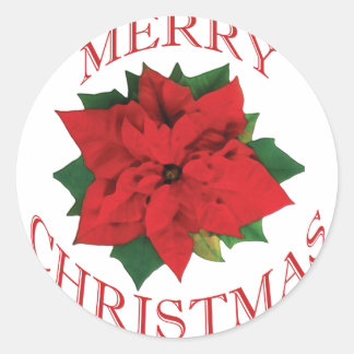 Sticker Rond Poinsetta de Noël
