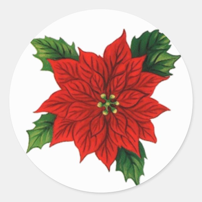Sticker Rond Poinsettia (Devant)