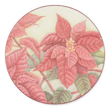 Poinsettia
