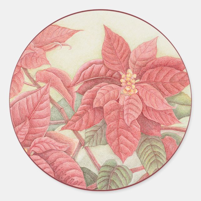 Sticker Rond Poinsettia (Devant)