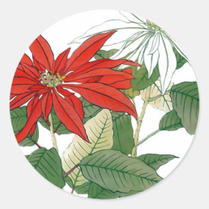 Sticker rond Poinsettias rouge et blanc