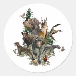 Sticker Rond Pointeur À poils durs allemand