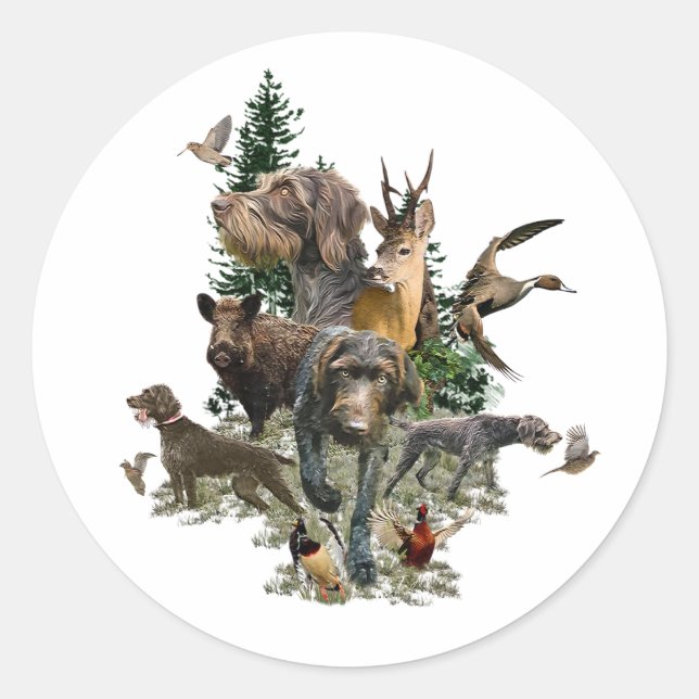 Sticker Rond Pointeur À poils durs allemand (Devant)