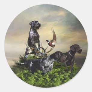 Sticker Rond Pointeur À poils durs allemand