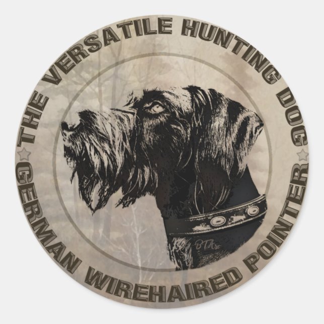 Sticker Rond Pointeur À poils durs allemand (Devant)
