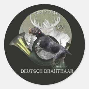 Sticker Rond Pointeur À poils durs allemand, Logo de chasse