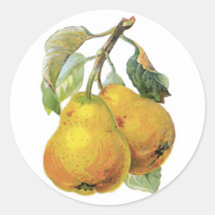 Sticker Rond Poires vintages