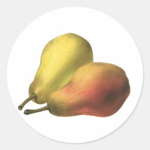 Sticker Rond Poires vintages, Aliments Bio, Fruits Ripe