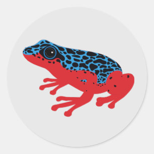 Sticker Rond Poison grenouille