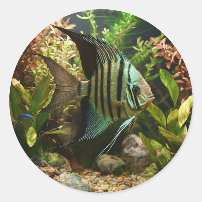 Sticker Rond Poisson-ange altum rayé (Devant)