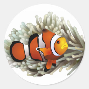 Sticker Rond Poisson clown