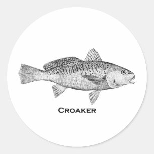 Sticker Rond Poisson croisé